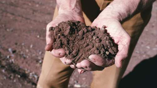 Enhance Soil Health with Fertilizer