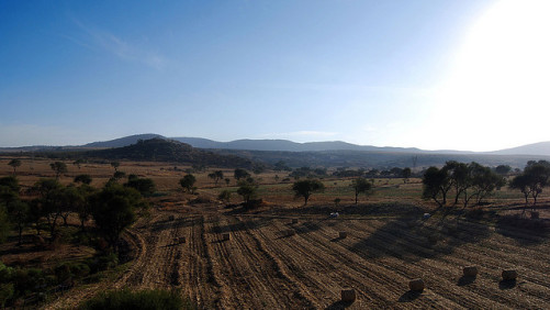 Mexico: Ripe for Growth in High-Value Horticulture Crops