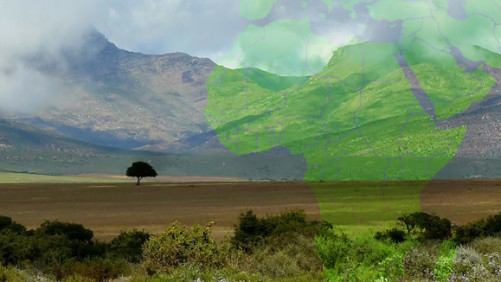 To Bring Green Revolution to Africa, Countries Must Develop New Technologies