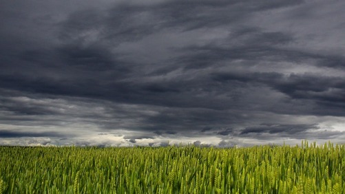 BASF: Sales Volumes Down, Trade Conflicts ‘Serious Concern’