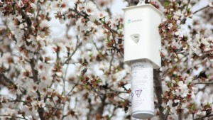 Semios Receives EPA Approval for Aerosol Pheromone