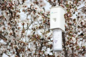 Semios NOW Plus pheromone aerosol dispenser in flowering nut tree (PRNewsFoto/Semios)