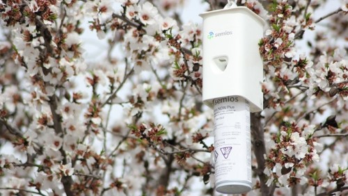 Semios Receives EPA Approval for Aerosol Pheromone