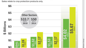 China’s $6-Billion Market Continues its Volume Growth