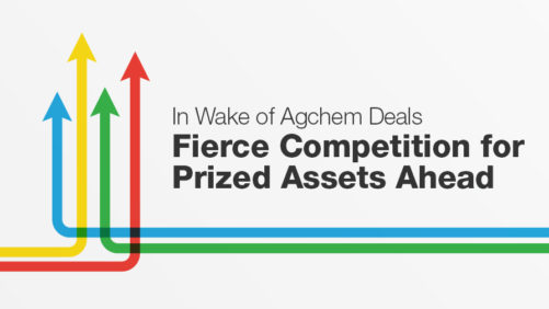 The Path Ahead for M&A
