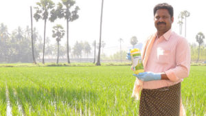 BASF Enters Indian Crop Protection Market for Rice