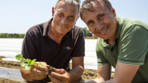 BASF Agricultural Solutions Quarterly Sales Jump 10%