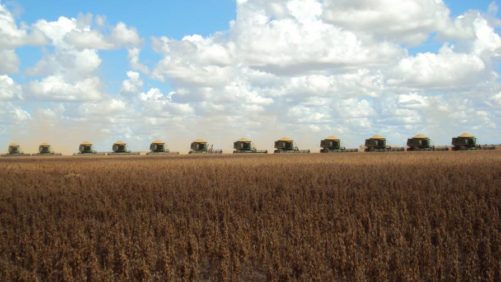 ADAMA publica resultados más sólidos en Brasil, precios más altos
