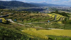 Japan Hopes To Leave Farms Out Of U.S. Economic Talks