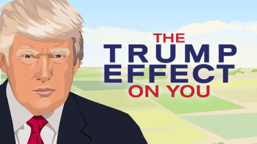What President Elect Trump’s Potential Trade Policy Moves Might Mean for Global Agribusiness