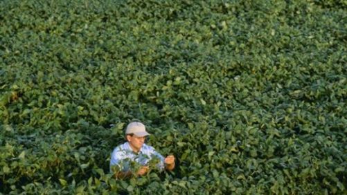 Un montón de oportunidades comerciales agrícolas para EE. UU. Y Europa