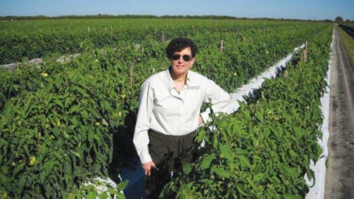 Marrone Acquires Jet Harvest Solutions Fungicides