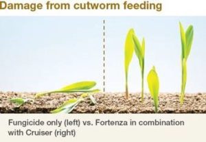 Syngenta Seed Treatment Insecticide Gets EPA Approval