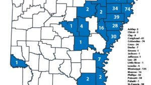 Arkansas Governor Moves to Ban Dicamba