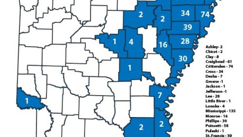 Governador do Arkansas se move para proibir o Dicamba