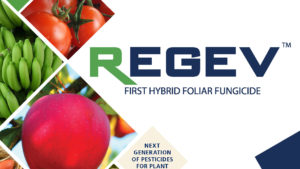 Stockton STK Receives Registration for Regev in Guatemala