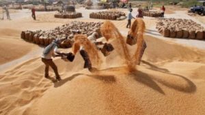 5 Key Focus Areas for Indian Agriculture Sector
