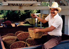 Bayer, SICIT 2000 Sign Distribution Agreement on Biostimulants