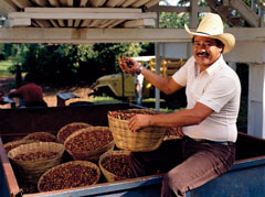 Bayer, SICIT 2000 Sign Distribution Agreement on Biostimulants