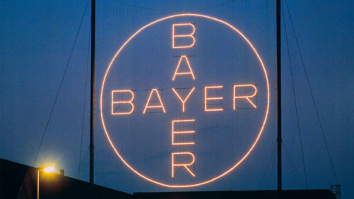 China Approves Import of Bayer’s GMO Alfalfa After Decade-Long Wait