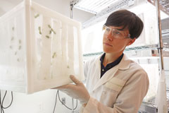 Bayer, IMBB-FORTH Partner to Tackle Insect Pests, Protect Crops