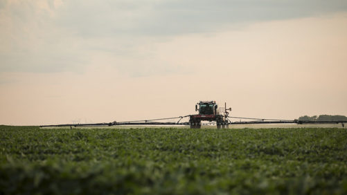 The Dicamba Factor to Weigh Heavily in 2018 Decisions