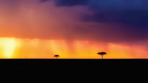 Eastern African Nations Move to Harmonize Fertilizer Regulations