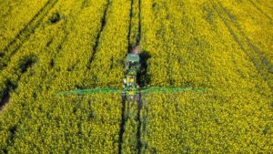 Pesticide Regulation: Precautionary Principle or Scientific Evidence?