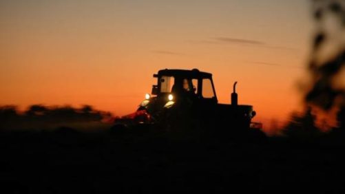 AI and Pest Management: Protecting Yields with Smart Technology