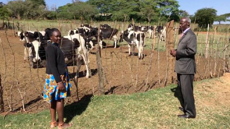 Wilson-Kyalo-主席-Wilson-Kyalo-主席-LEDCA-联盟-已经建立了他的奶牛场 - 从一头奶牛到 100 头奶牛 - 超过 40 年