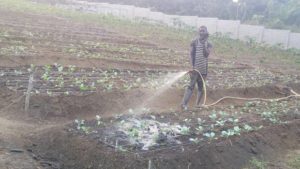 VisionFund International Offers Climate Insurance Initiative for African, Asian Farmers