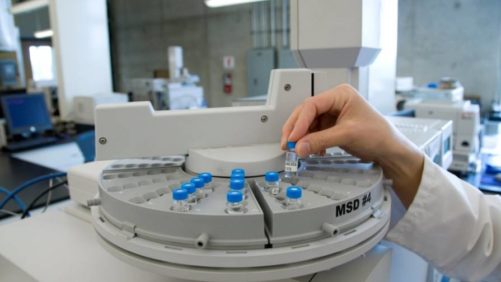 10 Things to Look for When Purchasing Biostimulants