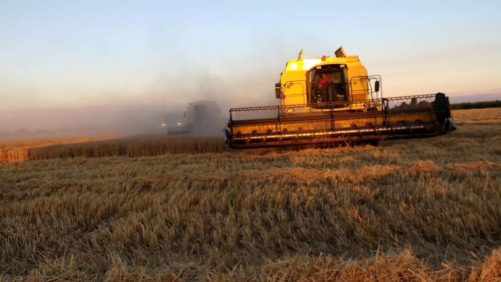 Chile Estimates More Expensive Agrochemicals in 2018
