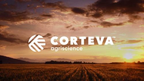 Corteva Agriscience inicia processo contra produtores e importadores de 2,4-D da China e da Índia