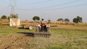 Study: Weeds Cause Annual Crop Loss of $11 Billion in India