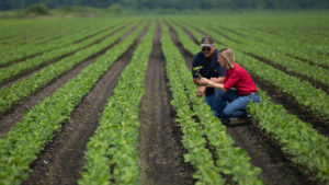 In Granular’s Deal with Planet, Satellite Images Deliver Peace of Mind