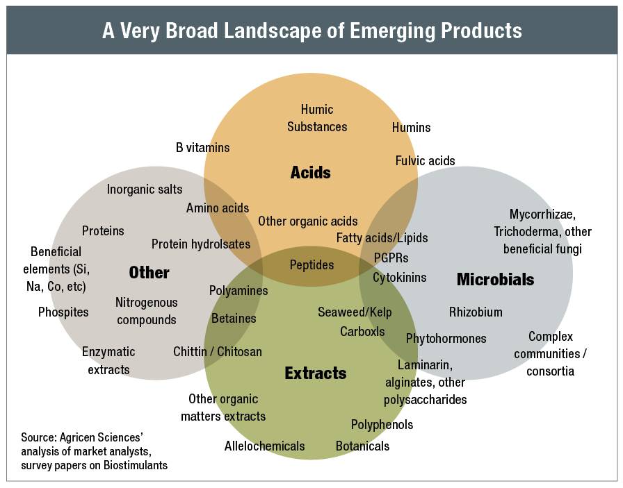 Biostimulants Gaining Ground