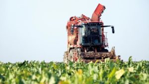 2025 年全球农业综合企业预测：以下是种植和作物保护决策的驱动因素