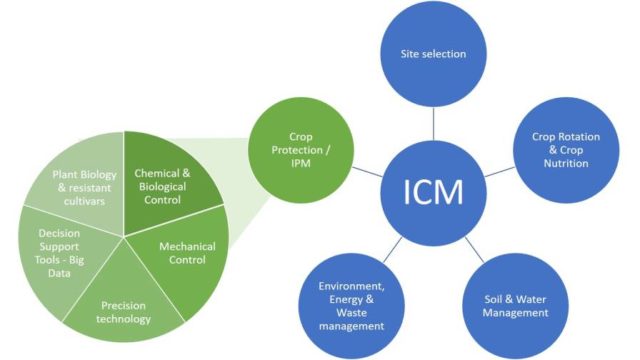 IPM and ICM: The Unique Opportunities and Challenges for Biopesticides ...