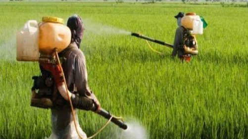 PMFAI: Empresas estrangeiras devem parar de importar pesticidas sem registro
