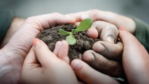 5 Reasons Why Entering the Environmental Respect Awards Is Good for Business