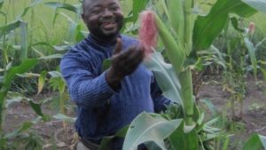 Q&A: Fast-Growing Biostimulant Markets, Distribution