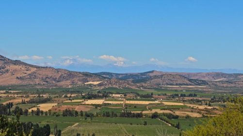 Chilean Delegation Seeks Agricultural Collaboration with India