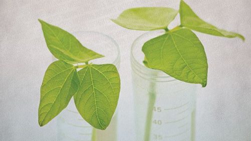 Defining R&D Strategies in the Global Crop Protection Industry (Part 1)