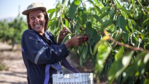 ForwardFarming: Demonstrating Sustainable Agriculture in Chile (Slideshow)