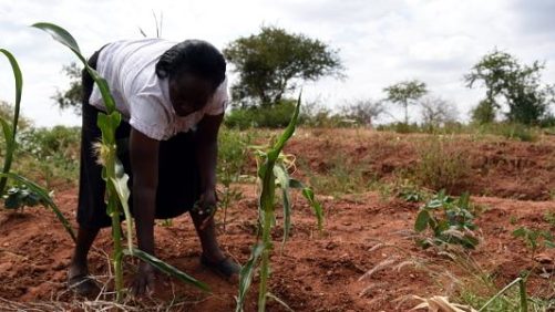 3 Key Things to Understand About Soil Health
