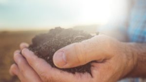 How Regenerative Ag Affects Crop Inputs