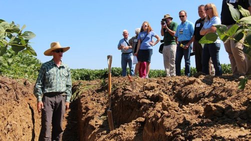 Checking the Pulse of Your Soil