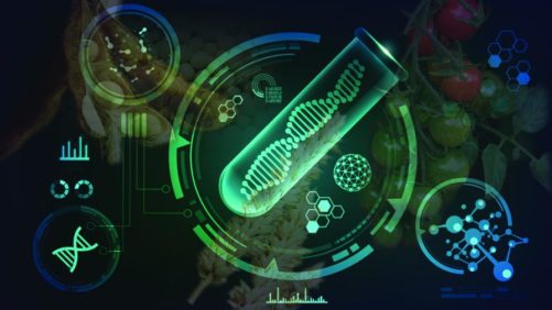 The Meteoric Rise of Genomics