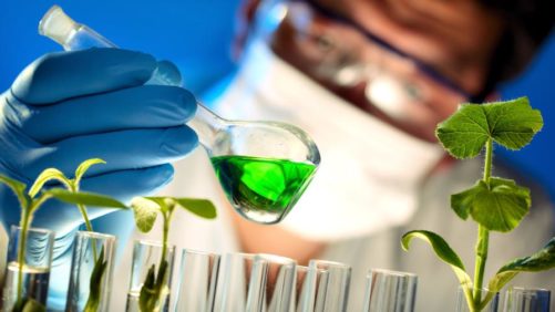 CCFI: Investimento em P&D é uma alta prioridade para a indústria agroquímica indiana
